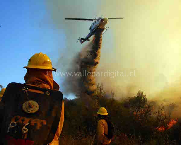 CONAF abrió postulación a brigadas de combate de incendios forestales